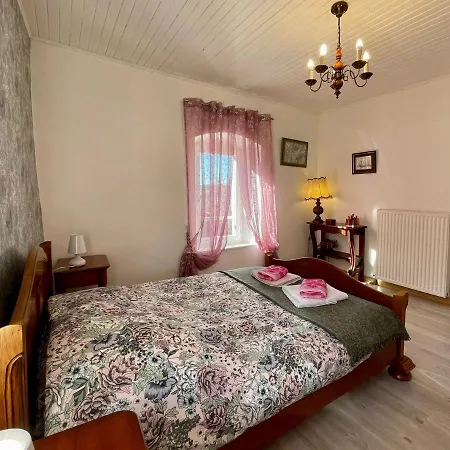 Nyaraló Chaleureux Avec Cheminee Pres Du Puy-en-velay, Ideal Pour Familles Et Sejours Professionnels - Fr-1-582-349 *