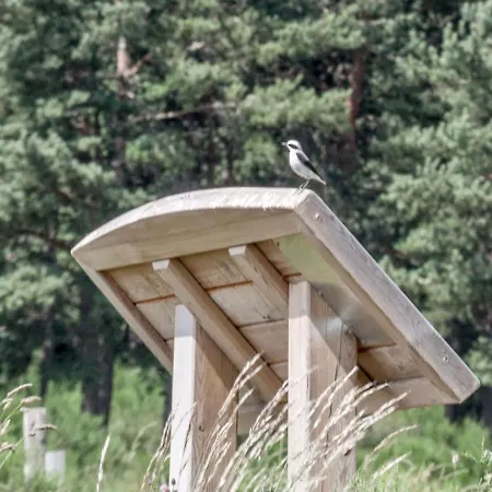 Nyaraló Chaleureux Avec Cheminee Pres Du Puy-en-velay, Ideal Pour Familles Et Sejours Professionnels - Fr-1-582-349