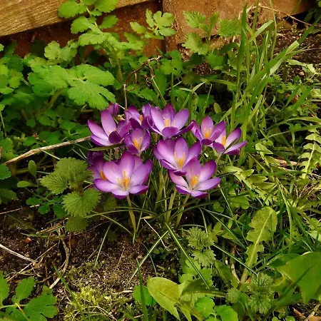 Chaleureux Avec Cheminee Pres Du Puy-en-velay, Ideal Pour Familles Et Sejours Professionnels - Fr-1-582-349 Saint-Germain-Laprade