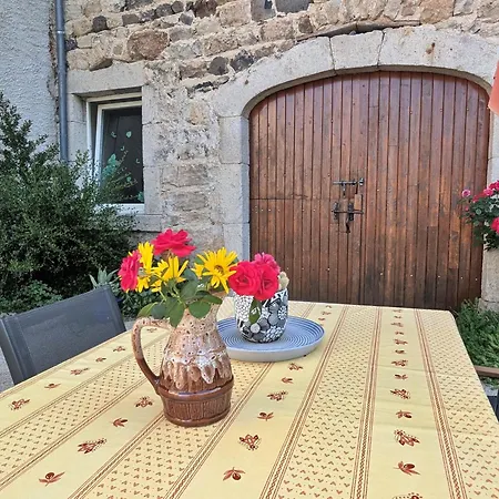 Chaleureux Avec Cheminee Pres Du Puy-en-velay, Ideal Pour Familles Et Sejours Professionnels - Fr-1-582-349 Country house *